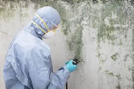 Best Crawl Space Mold Remediation  in Pendleton, SC